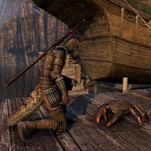 The Elder Scrolls Online Imperial Edition Cd Key